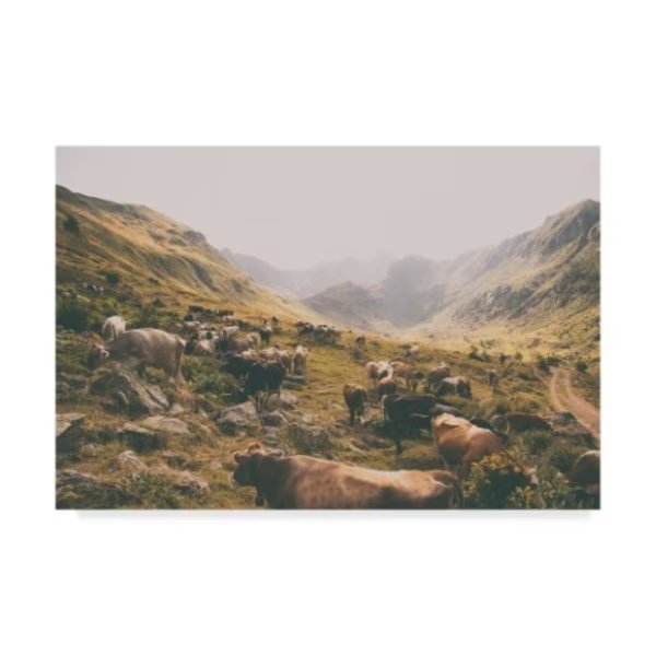 Aledanda 'In The Valley Cows' Canvas Art, 16x24, Trademark Fine Art, Mfr#: WAP04715-C1624GG